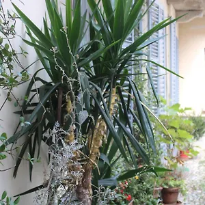 Dimora Boezio7, Cozy And Charming Place In Center With Private Parking Pavia